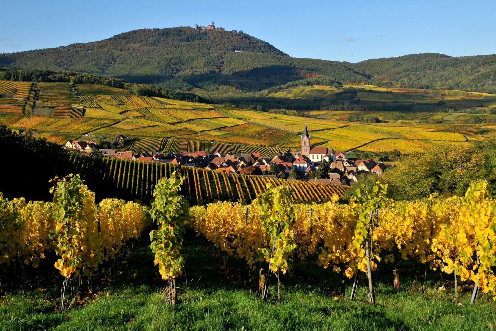 Soon - Maisonnette * Ribeauville (Haut-Rhin)